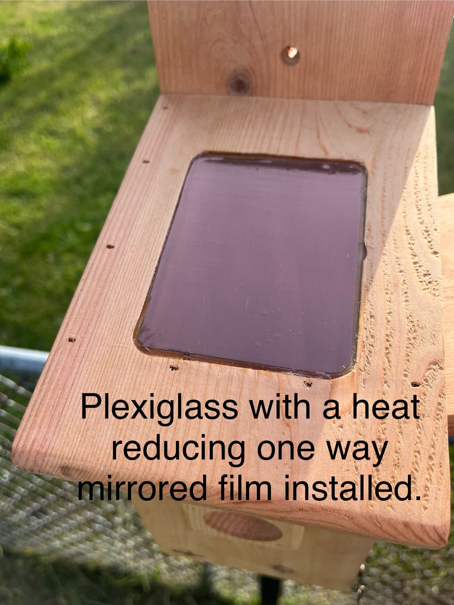 Bluebird Nesting Box with House Sparrow Deterrent