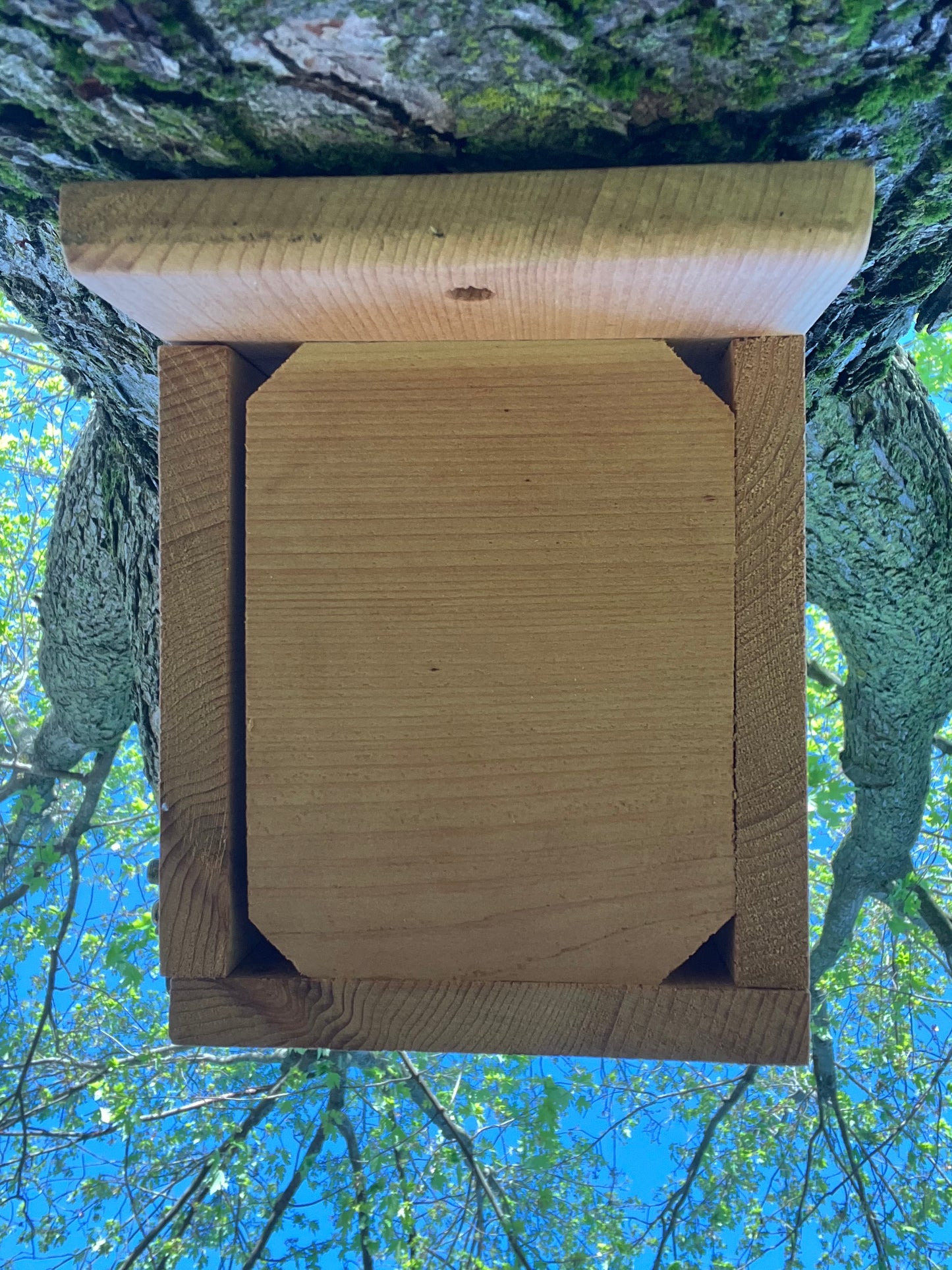 Bluebird Nesting Box with House Sparrow Deterrent