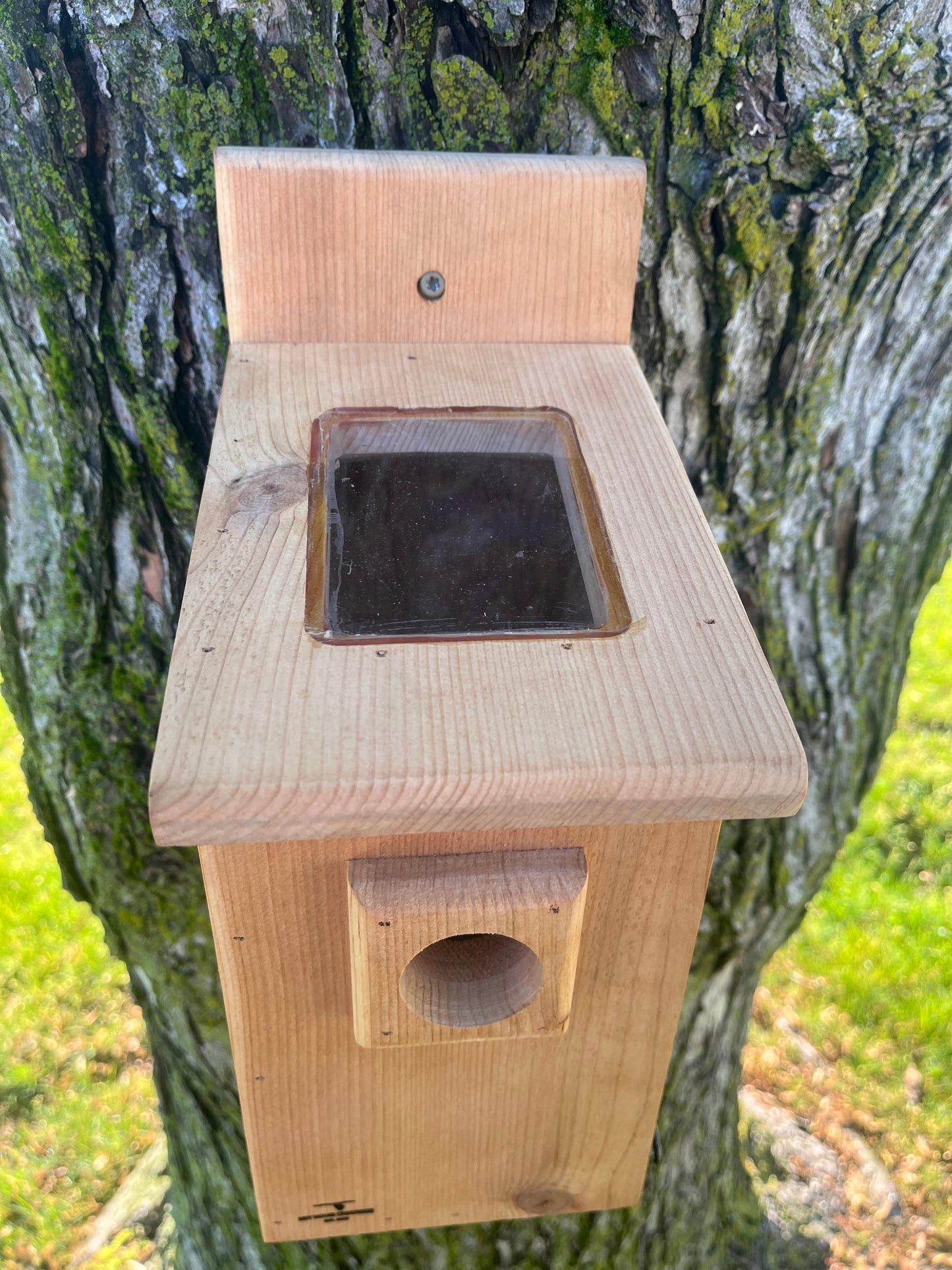 Bluebird Nesting Box with House Sparrow Deterrent