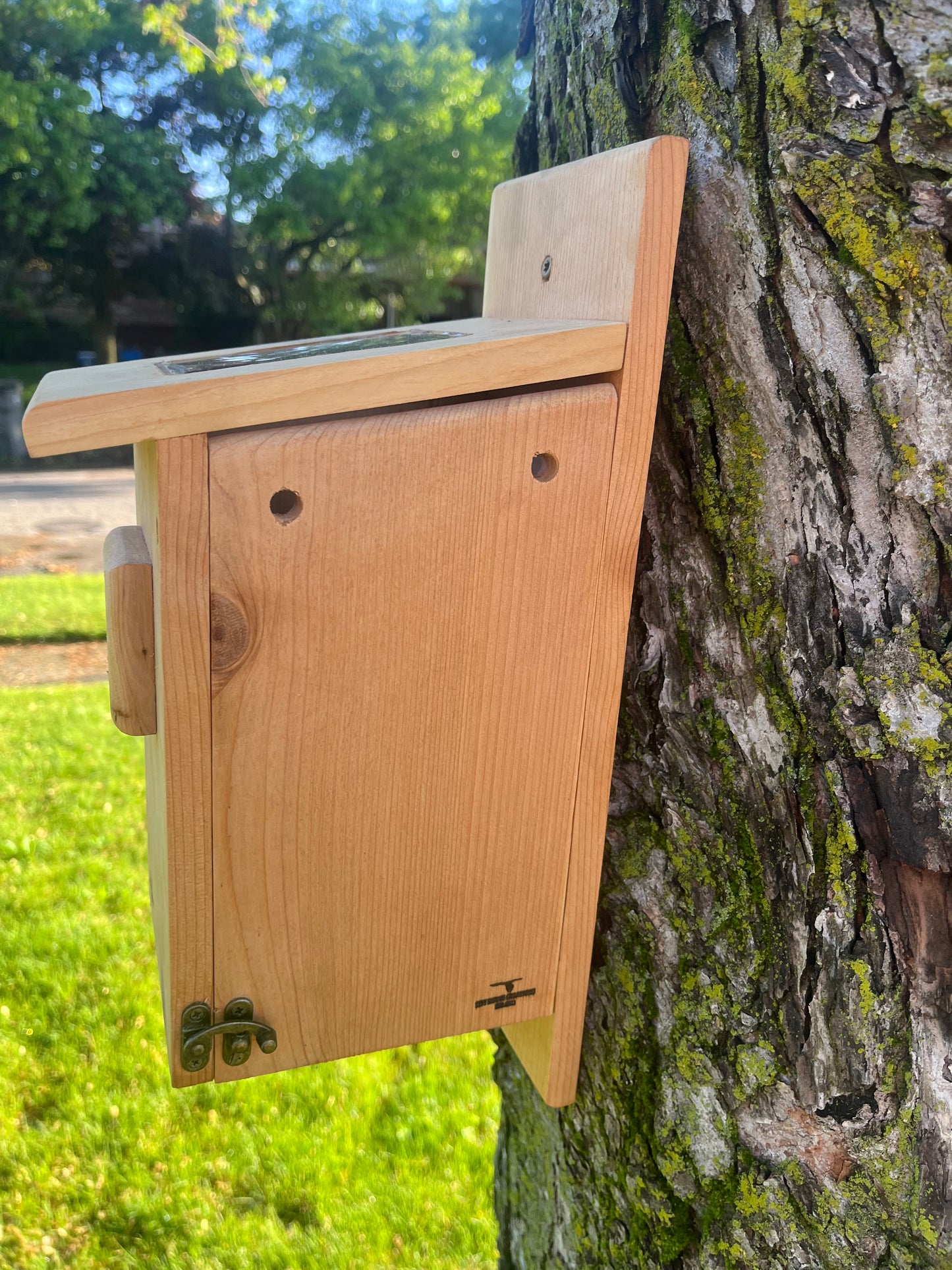 Bluebird Nesting Box with House Sparrow Deterrent