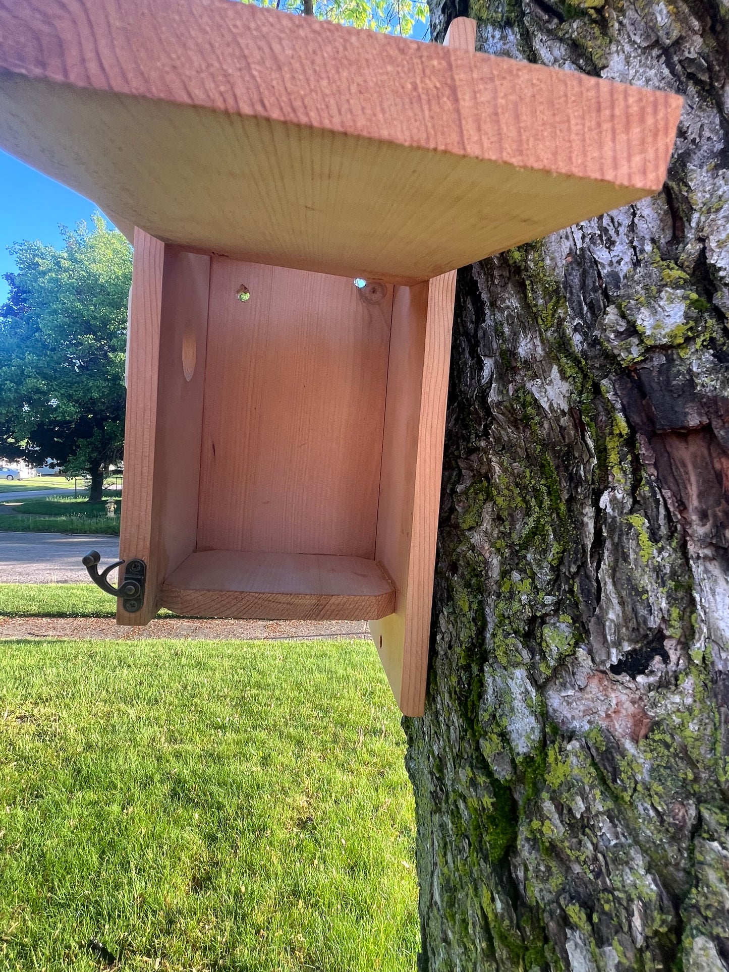 Bluebird Nesting Box with House Sparrow Deterrent