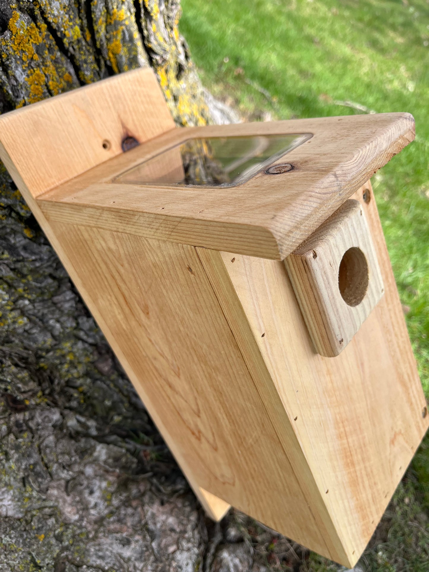 Bluebird Nesting Box with House Sparrow Deterrent