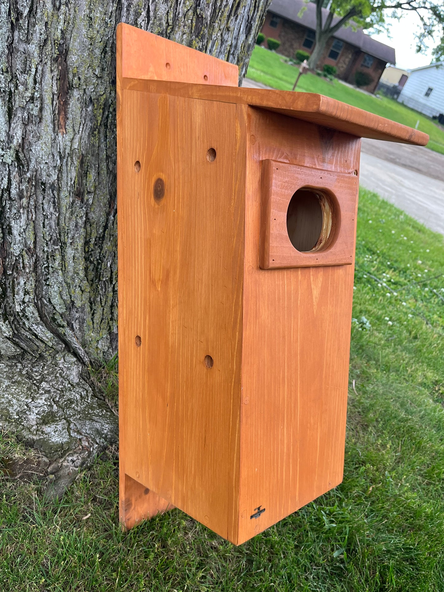Pine Wood Duck Nesting Box