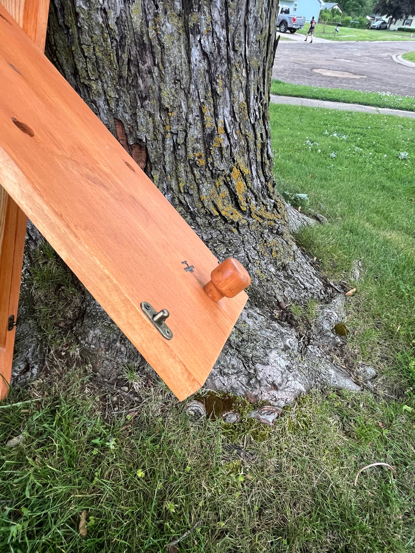 Pine Wood Duck Nesting Box