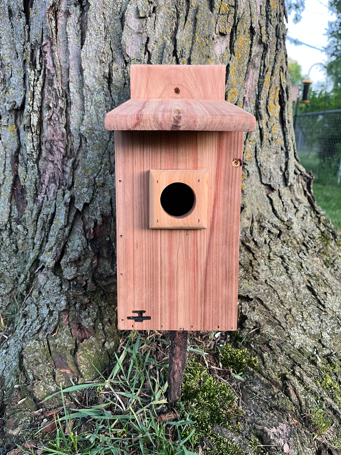 Traditional Cedar Bluebird Nesting Box