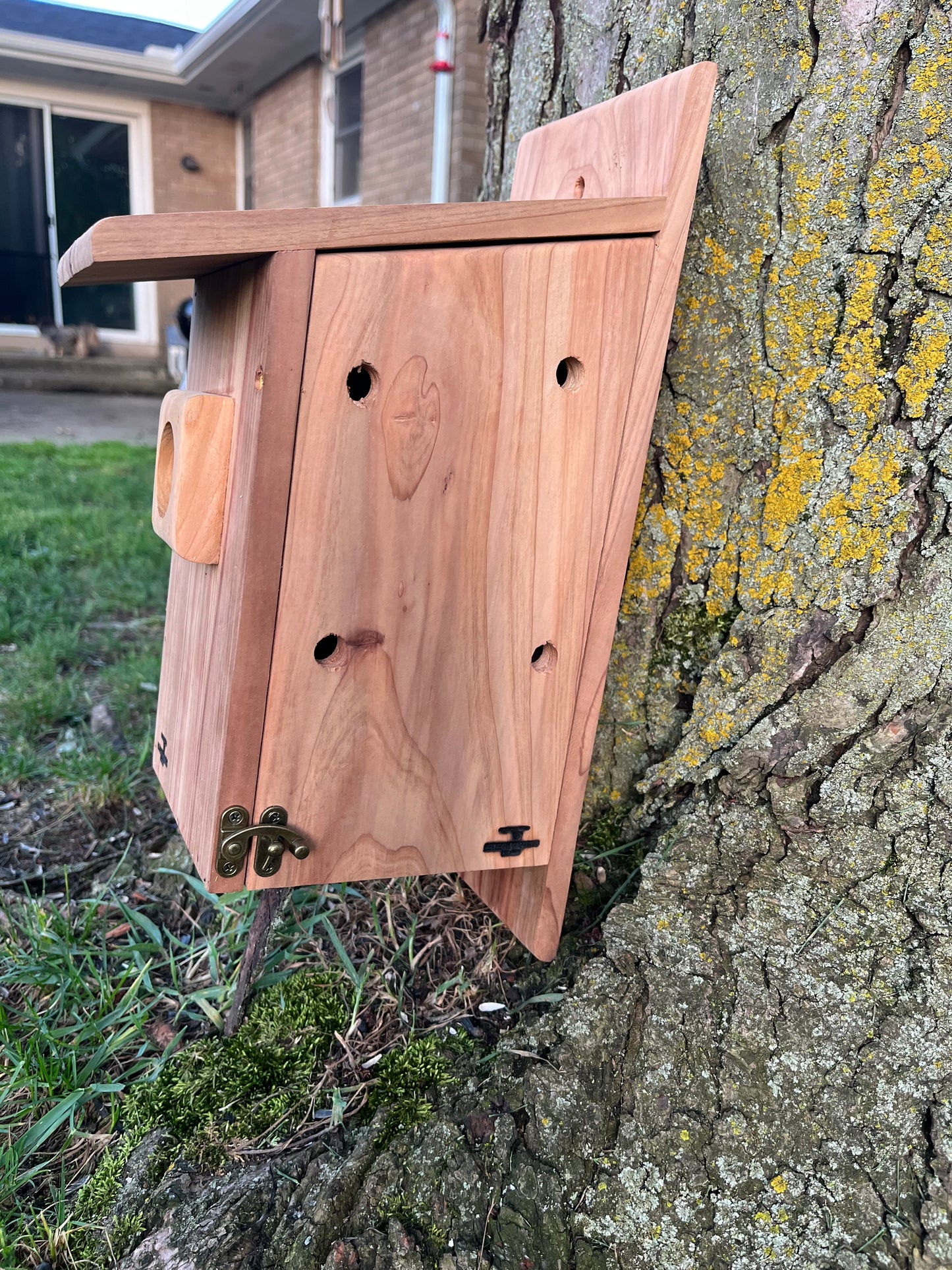 Traditional Cedar Bluebird Nesting Box