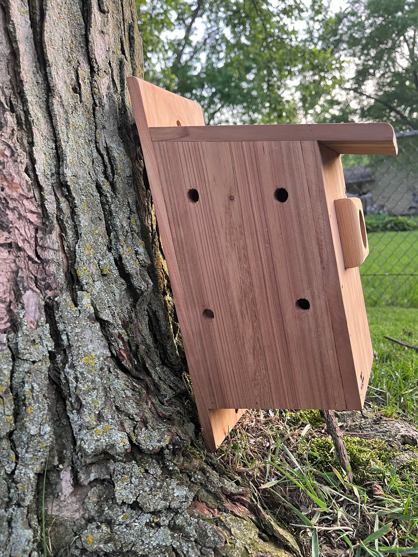 Traditional Cedar Bluebird Nesting Box