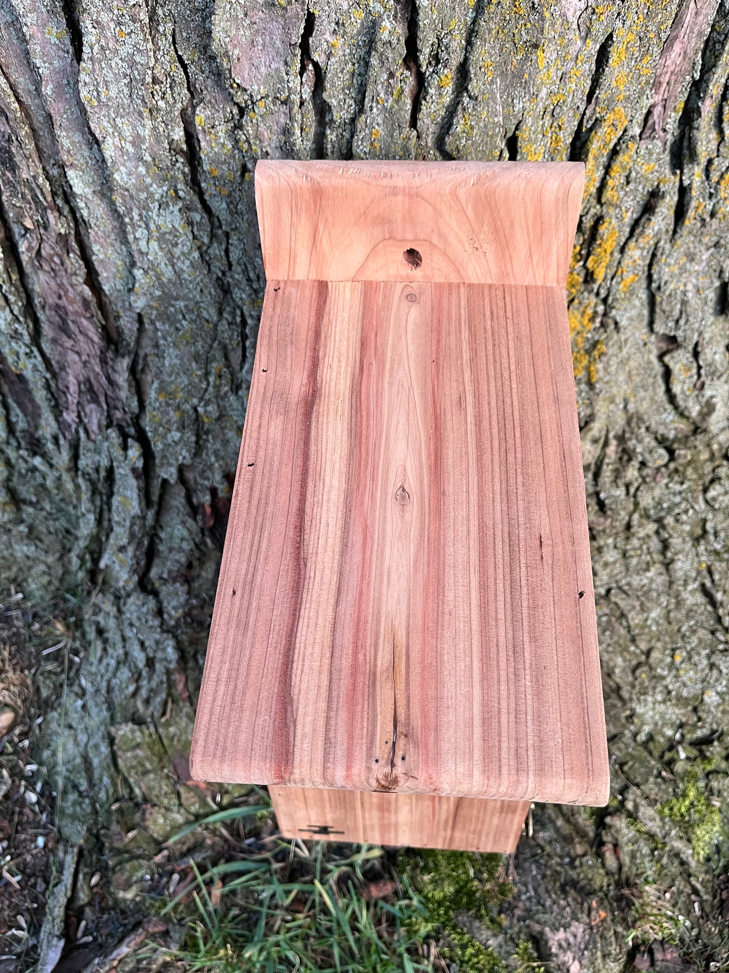 Traditional Cedar Bluebird Nesting Box