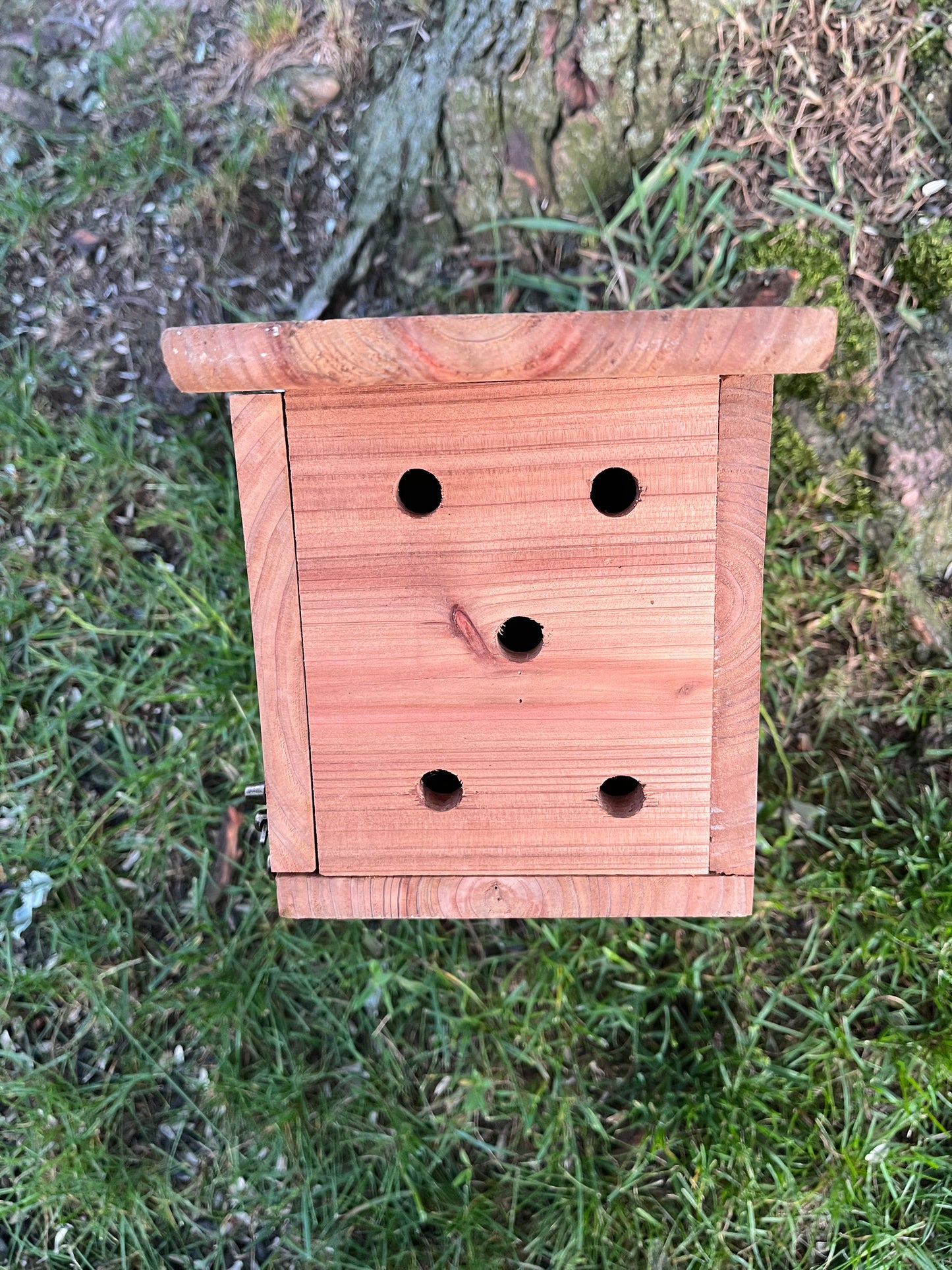 Traditional Cedar Bluebird Nesting Box