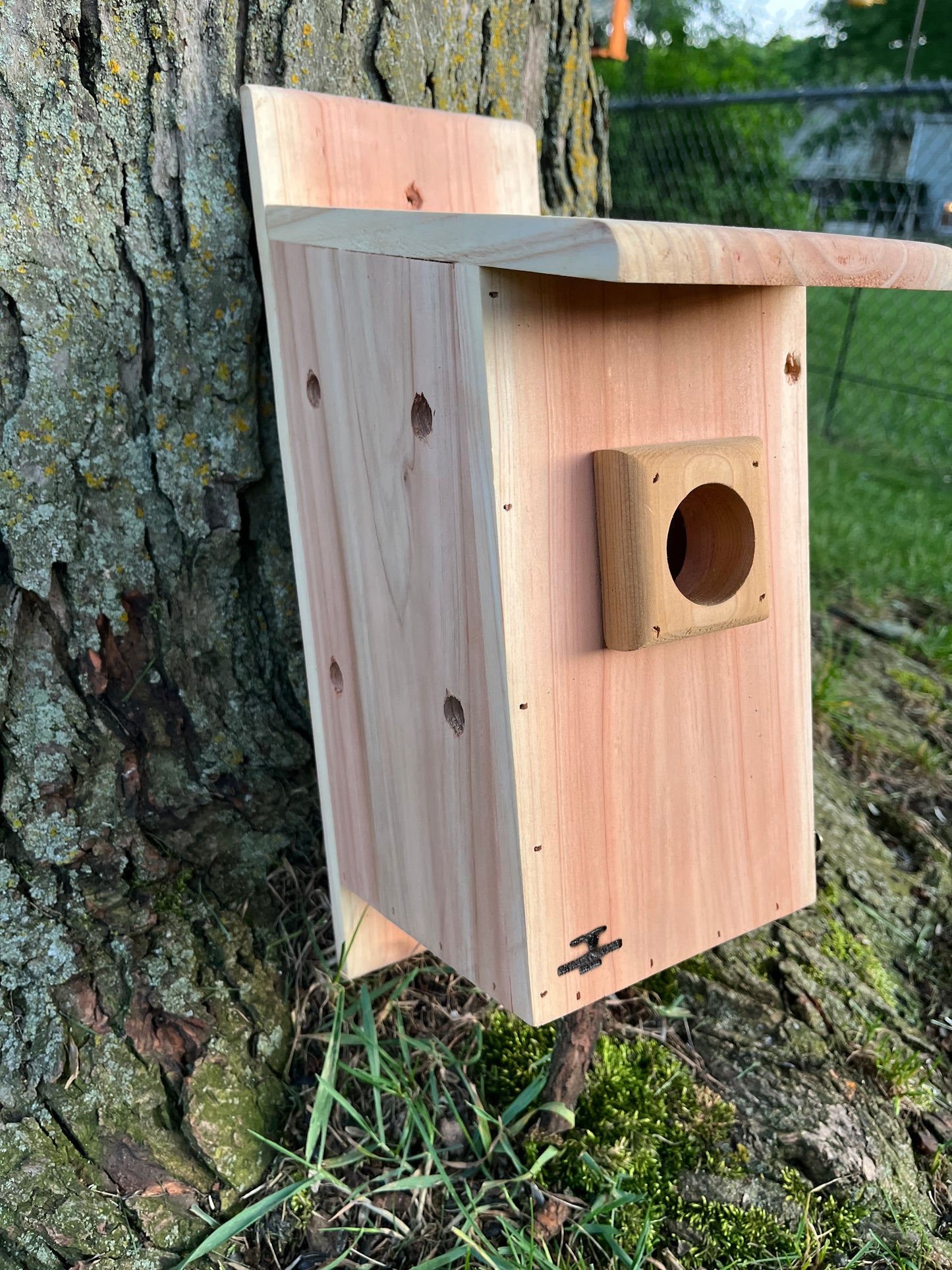 Traditional Cedar Bluebird Nesting Box