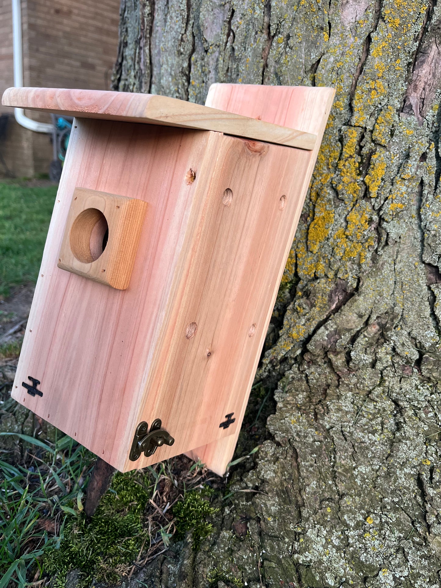 Traditional Cedar Bluebird Nesting Box